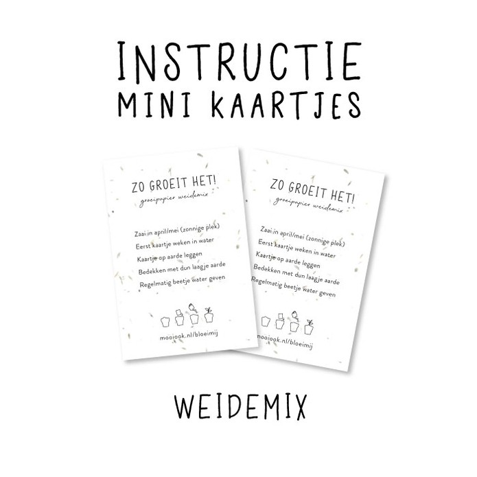 Groeipapier mini instructie kaartjes Weidemix