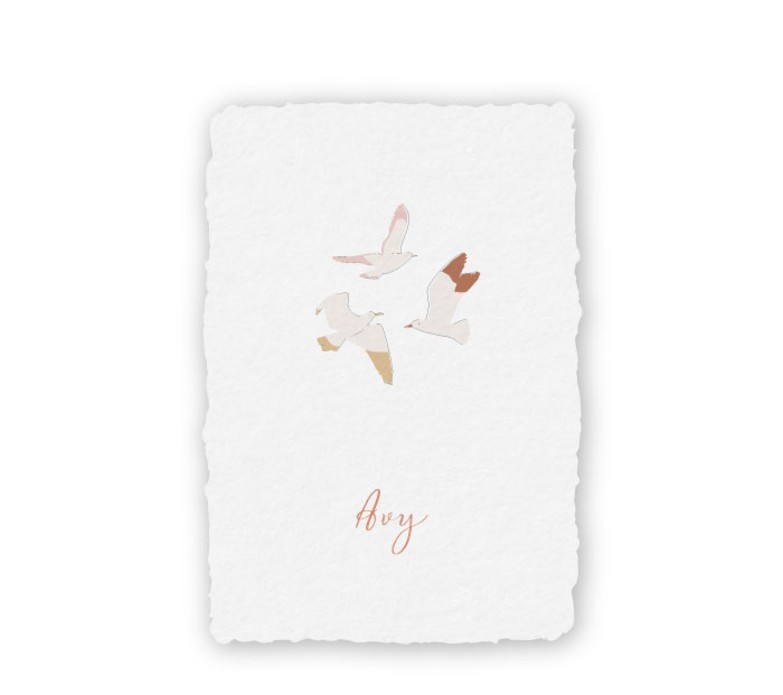 handgeschept-geboortekaartje-papier-vogels-avy