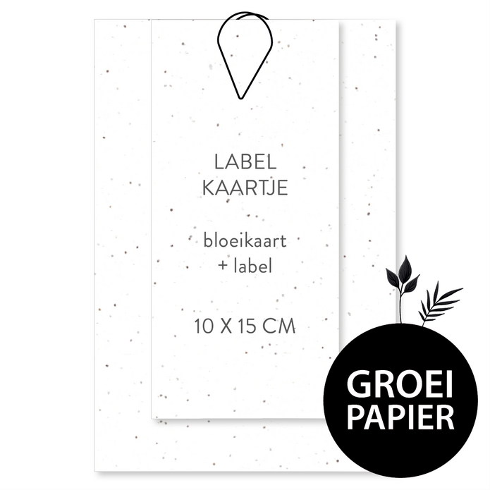Zelf maken - 10 x 15 cm labels met paperclip - groeipapier