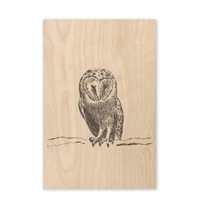 Poster hout getekende uil