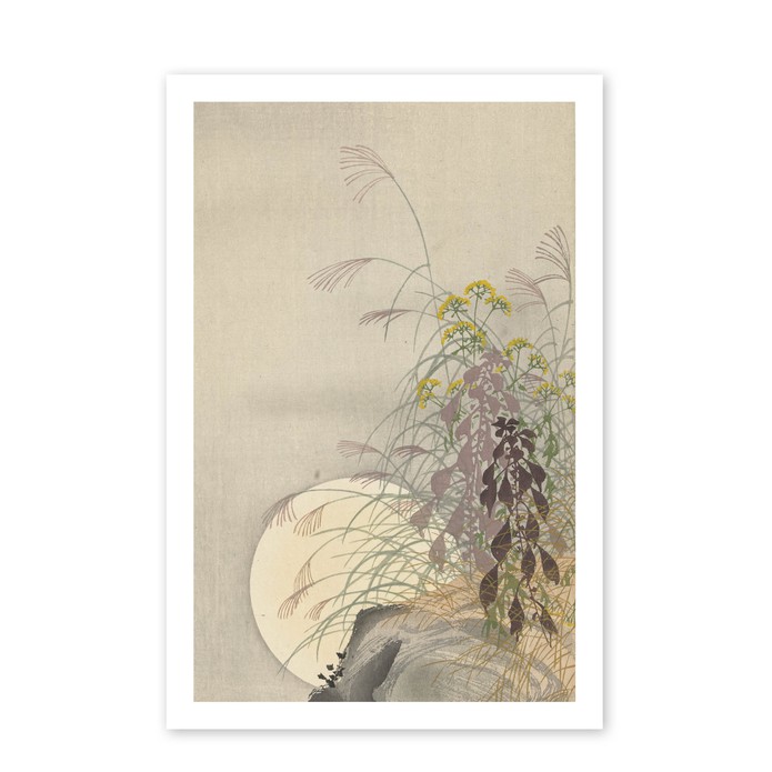 Poster Grassen bij volle maan