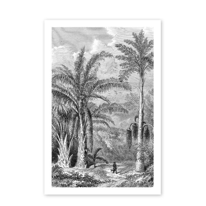 Poster botanische jungle