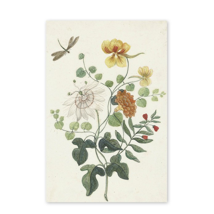 Poster Stilleven bloemen