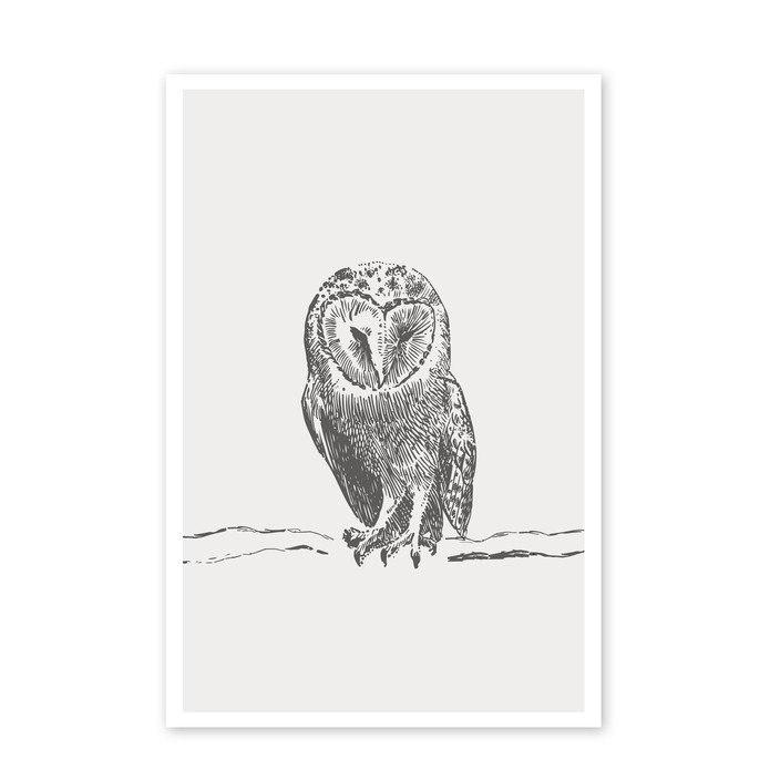 Poster Getekende uil