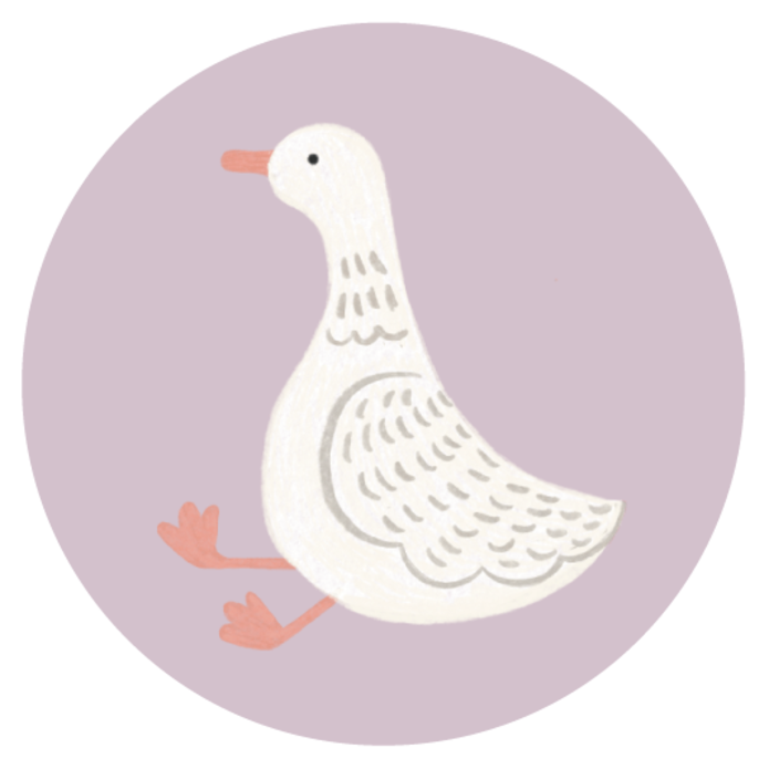 Sluitsticker gansje