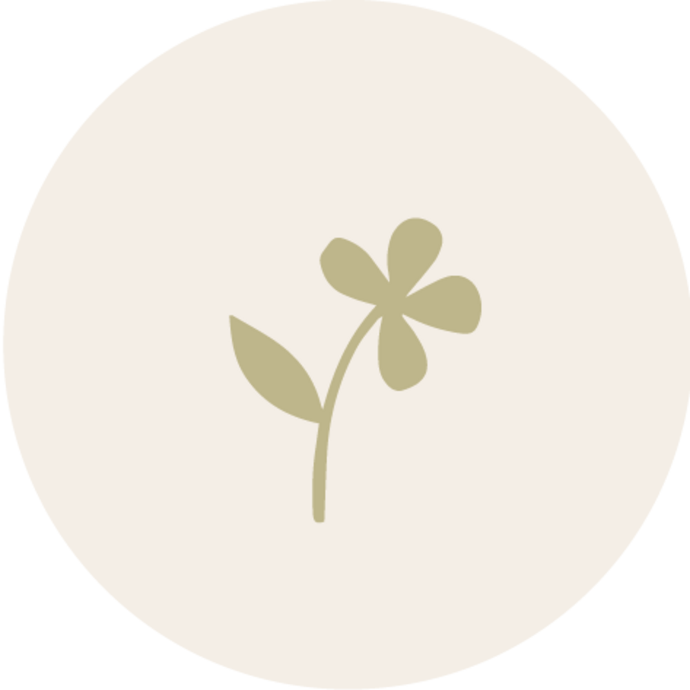 Sluitsticker klavertje vier