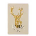Geboortekaartje-duurzaam-naturel-kraft-hert-pablo