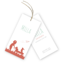 geboortekaartje-labels-splitpen-bolderkar-met-speelgoed-milla