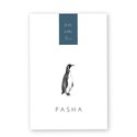 geboortekaartje-pinguin-dieren-getekend-pasha