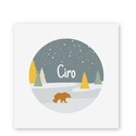 geboortekaartje-rond-kader-winter-ijsbeer-ciro