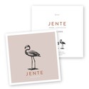 Geboortekaartje vierkant flamingo Jente
