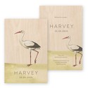 Geboortekaartjes-harvey-ooievaar-houot