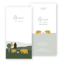 geboortekaartjes-jongen-landschap-ijsbeertjes-djurre-langwerpig