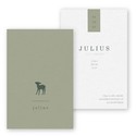 Geboortekaartje karton  hertje Julius