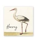Geboortekaart-museum-ooievaar-vierkant-harvey