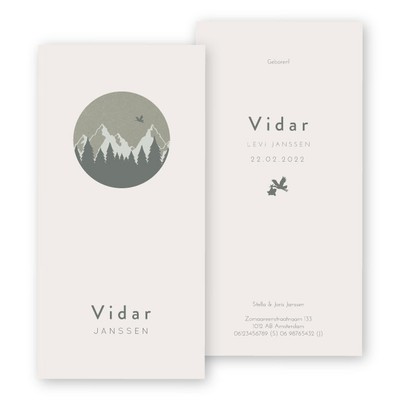 Geboortekaartje-bergen-ooievaar-vidar