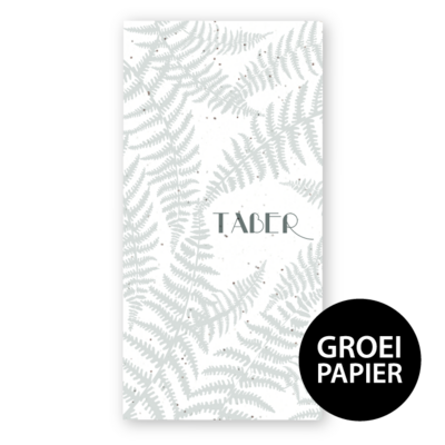 geboortekaartjes-groeipapier-varens-taber-langwerpig