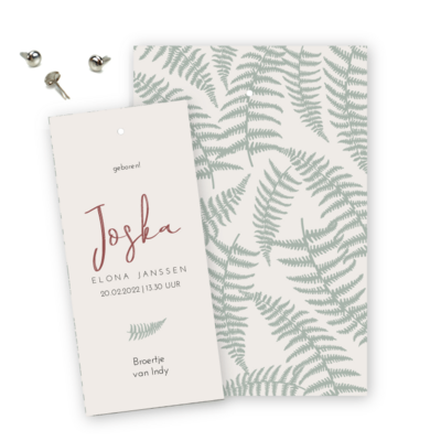 geboortekaartjes-label-klembord-varen-vintage-joska