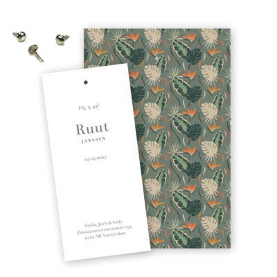 geboortekaartjes-paradijsvogel-patroon-ruut