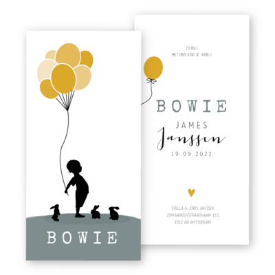 geboortekaartjes-silhouetje-ballonnen-bowie